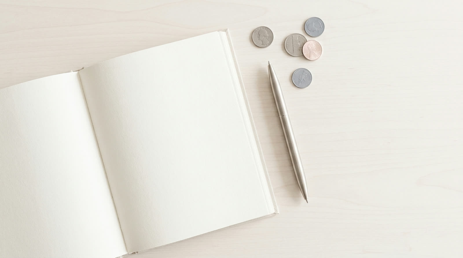 The start-up ledger